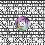 Watergate Vinyl 84